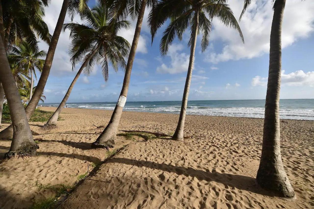 Kasa Las Palmas Ocean View Beachfront Condo Pool